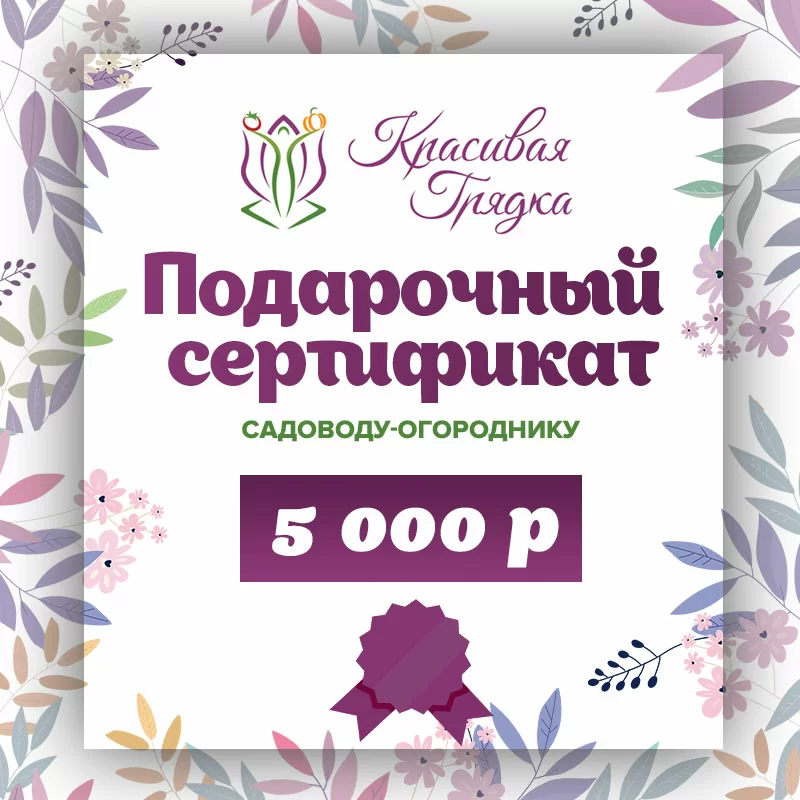 Подарочный сертификат 5000 р.