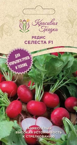 Селеста F1 семена редиса