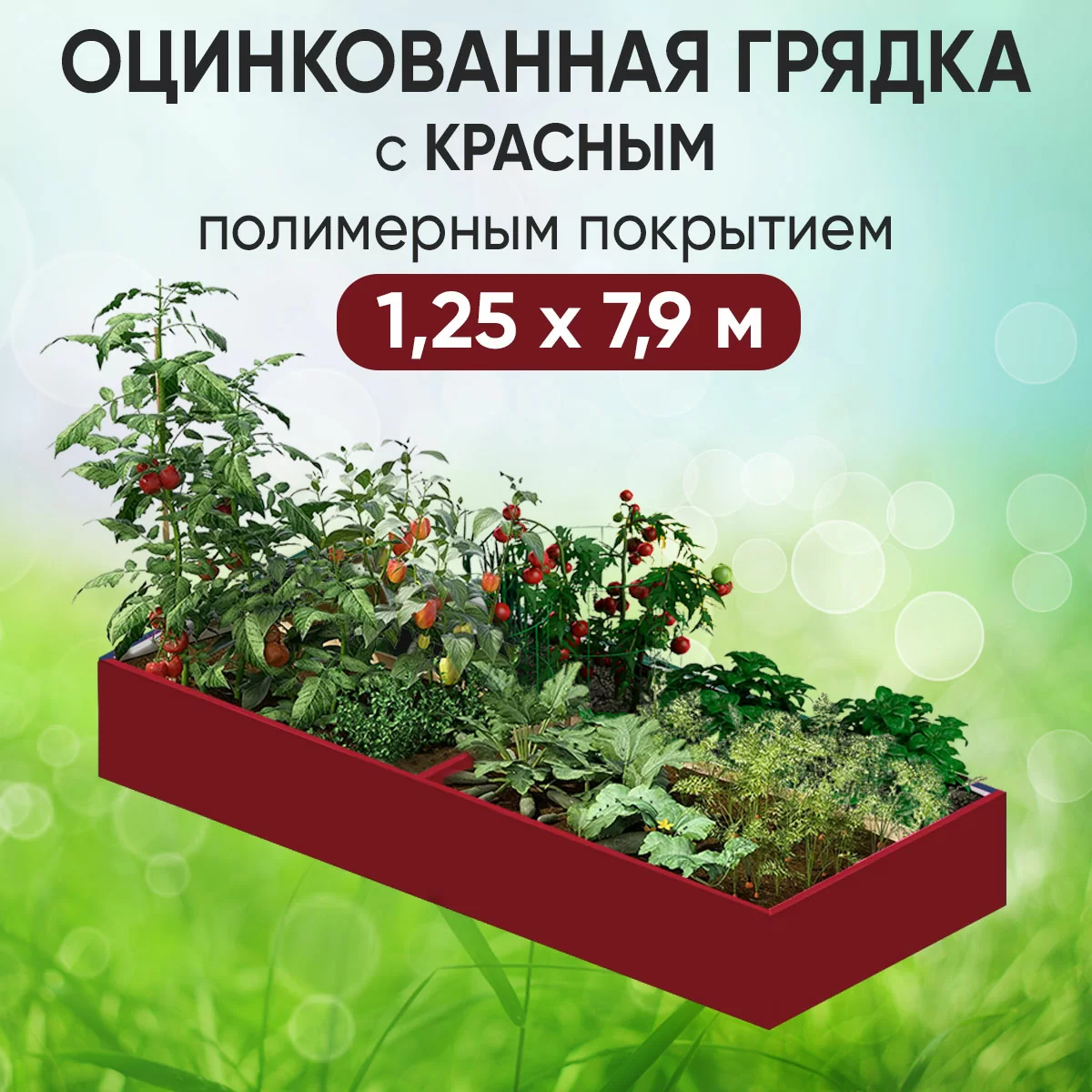 Грядка красная (1,25 х 7,9)