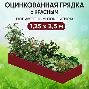 Грядка красная (1,25 х 2,5)