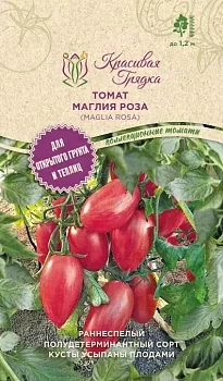 Маглия роза