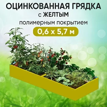 Грядка желтая (0,6 х 5,7)