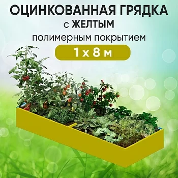 Грядка желтая (1 х 8)
